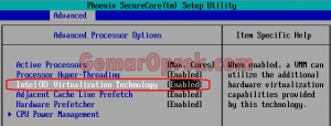 cara mengaktifkan intel-vt and amd-v pada BIOS