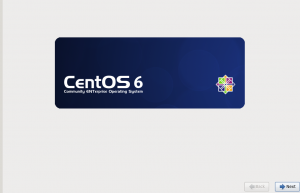 Cara Setup Software Raid Dan LVM CentOS 6