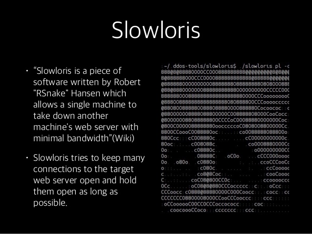 slowloris ddos tool download